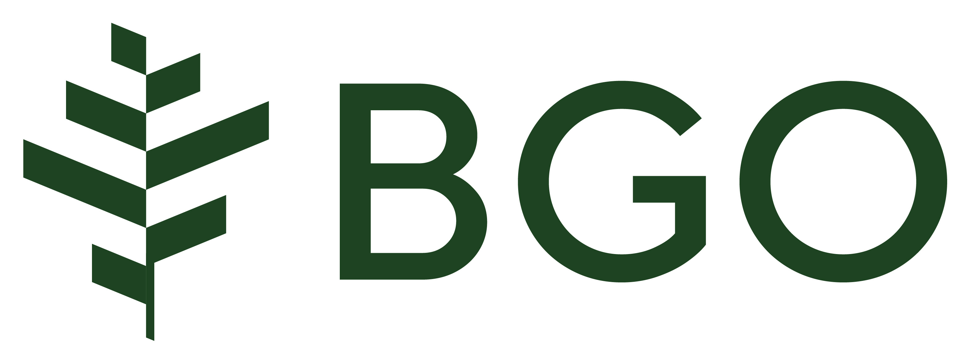 BGO logo